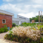 Jardin du CMC - Centre Médical de la Communauté à Lubumbashi, RD Congo.